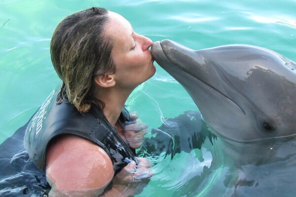 Swimming-with-Dolphins-2